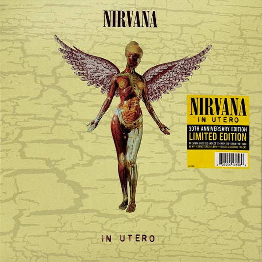 In Utero (30th)