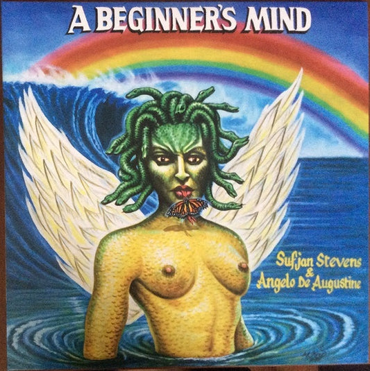 A Beginner's Mind